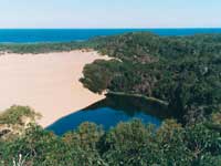 Here you go - Fraser Island