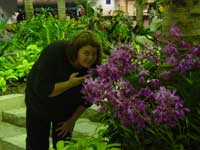 Singapore Jungle Adventure 2